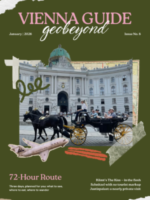 Vienna Guide