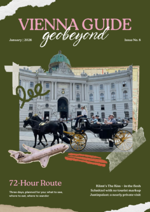 Vienna Guide